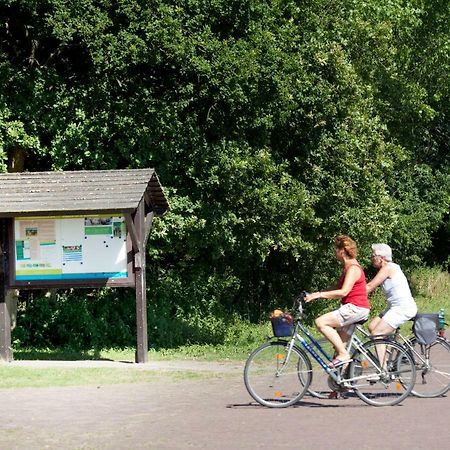 Appartementen - Bungalowpark Mooyeveld - Uniek Gelegen In De Duinen! 에흐몬트-비넨 외부 사진