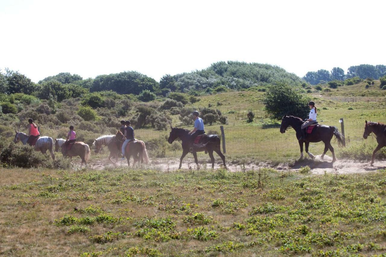 Appartementen - Bungalowpark Mooyeveld - Uniek Gelegen In De Duinen! 에흐몬트-비넨 외부 사진