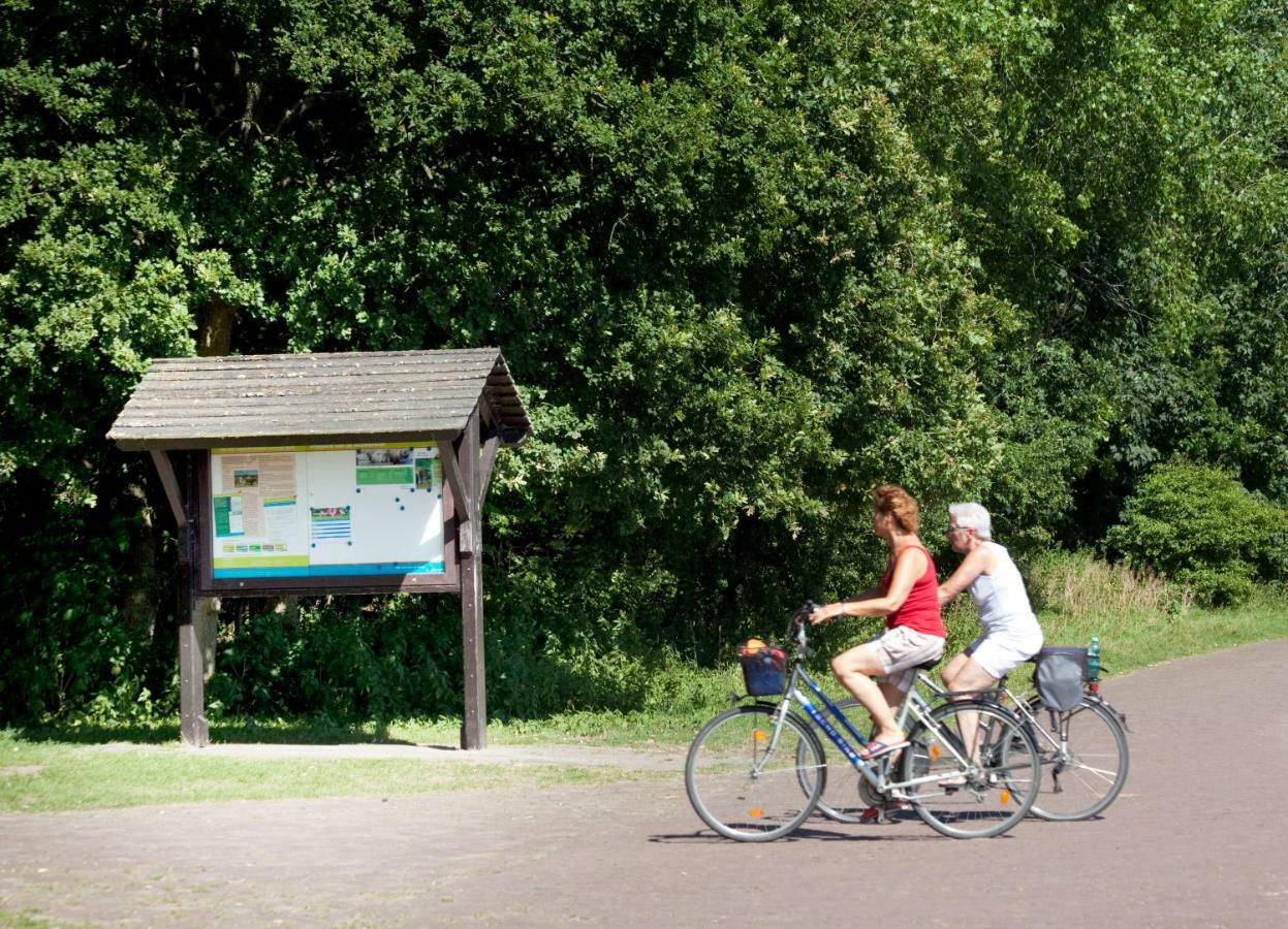 Appartementen - Bungalowpark Mooyeveld - Uniek Gelegen In De Duinen! 에흐몬트-비넨 외부 사진