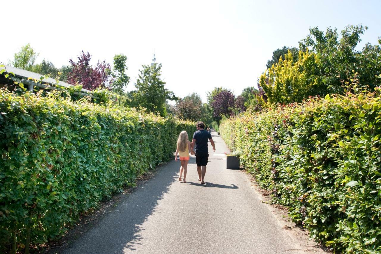 Appartementen - Bungalowpark Mooyeveld - Uniek Gelegen In De Duinen! 에흐몬트-비넨 외부 사진